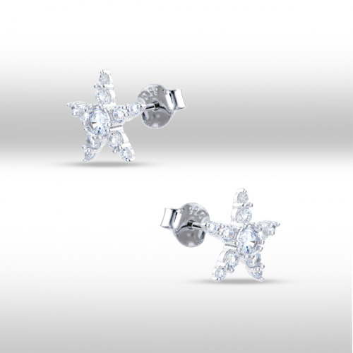 Cercei argint zirconiu elegant 0224/MB/MS - 5000000802395