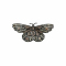 Inel argint zirconiu fluture - 575701*